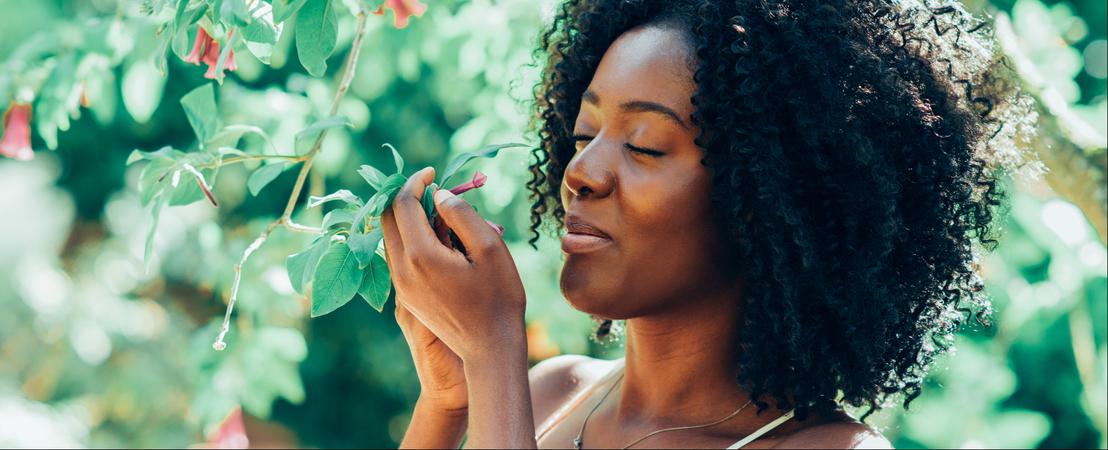 Prenez garde à "la fleur soporifique"