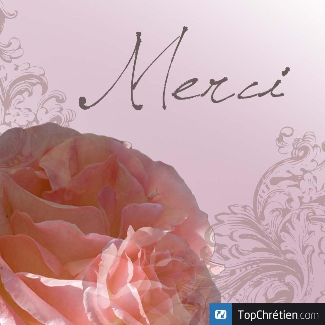 Merci