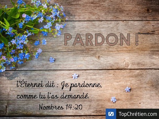 pardon