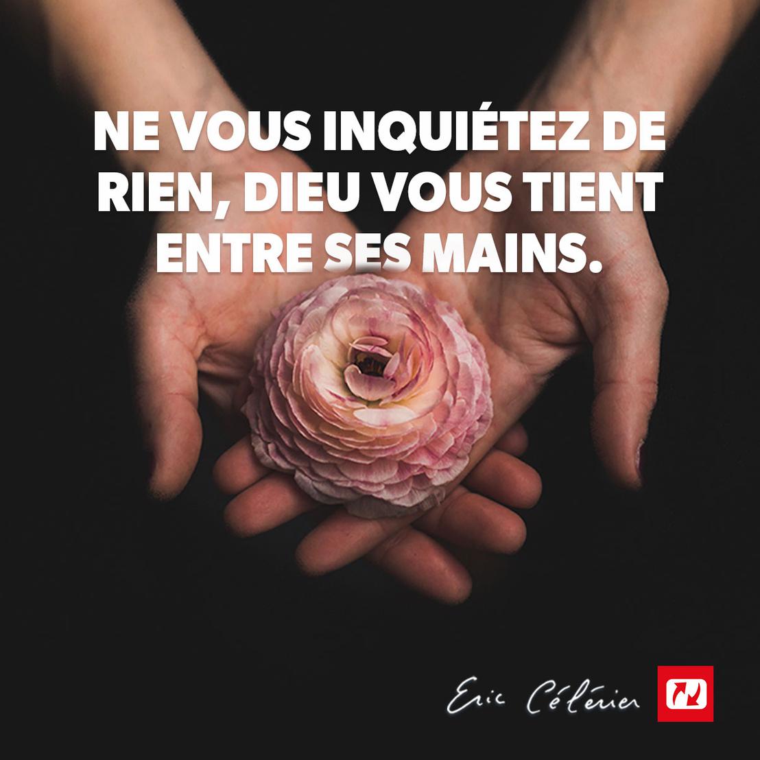Vous ne craignez rien Mon ami(e) !