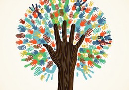 Les donateurs