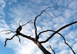L'esprit de leadership : ce que tout homme doit savoir