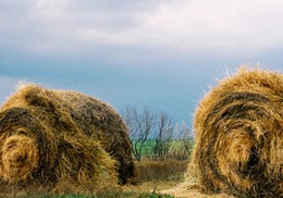 Grâce pour tous