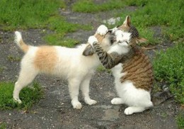 Un couple qui dure !