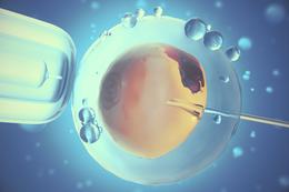 Les chrétiens peuvent-ils faire appel à la “Fécondation In Vitro” ?
