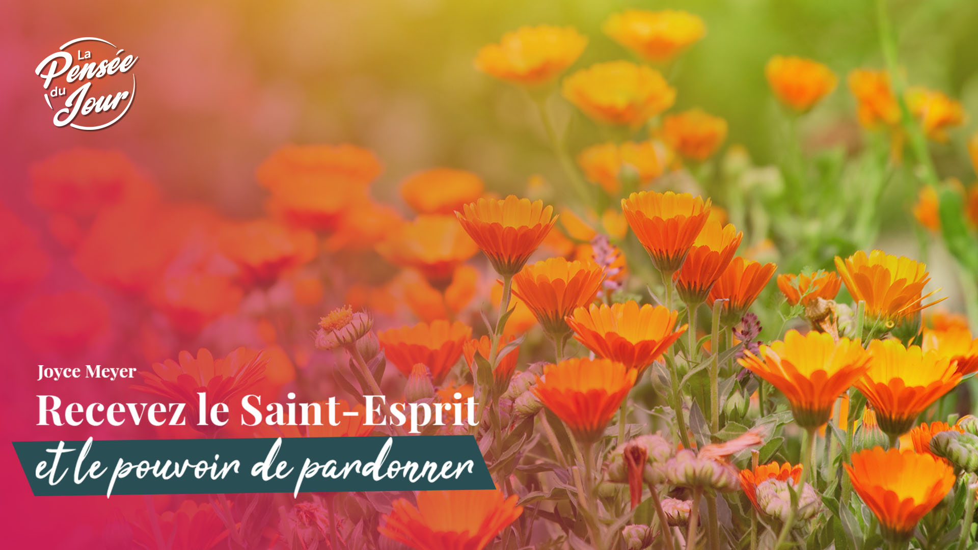 Recevez le SaintEsprit et le pouvoir de pardonner TopChrétien