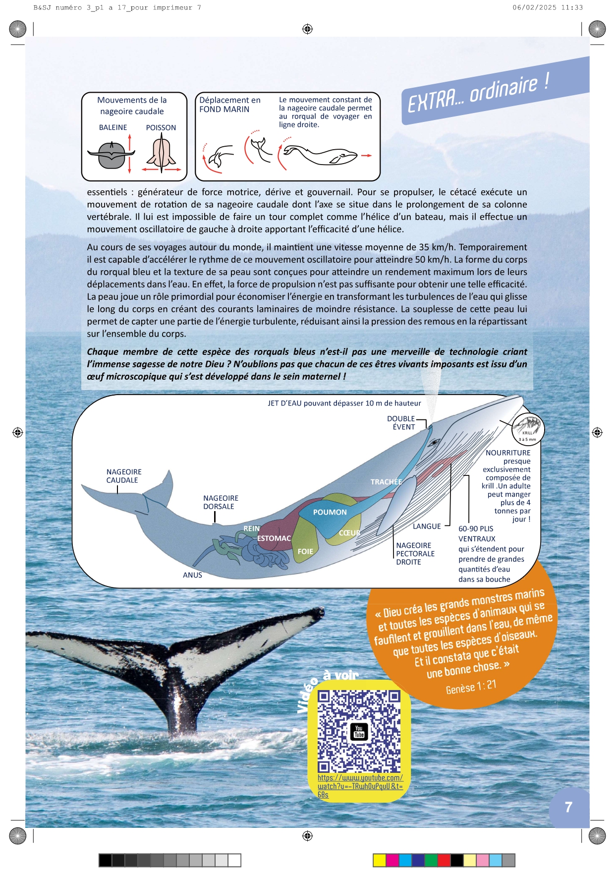 Bible & Science Junior - N°3 (Extrait) - page 7