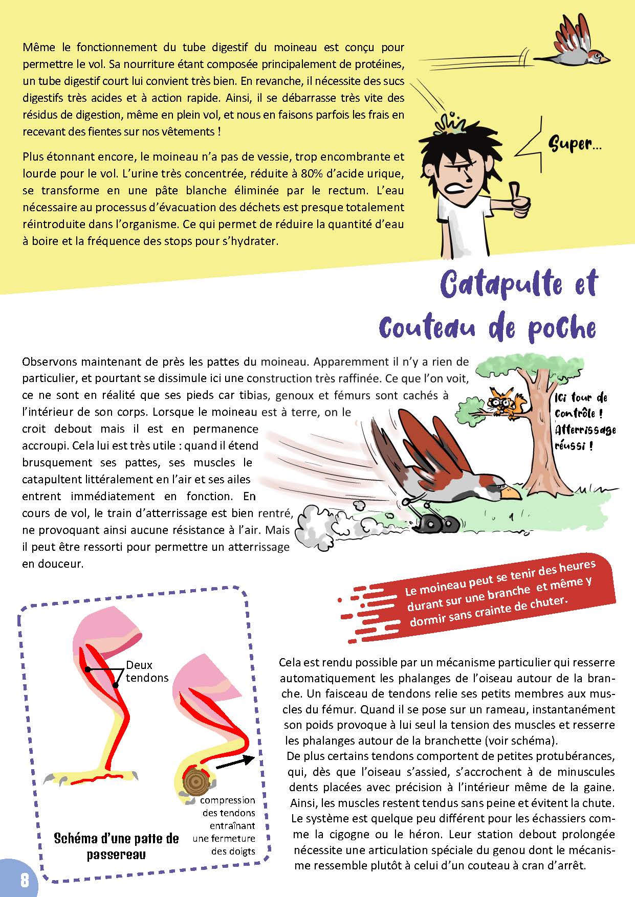 Bible & Science Junior - N°1 (Extrait) - page 7