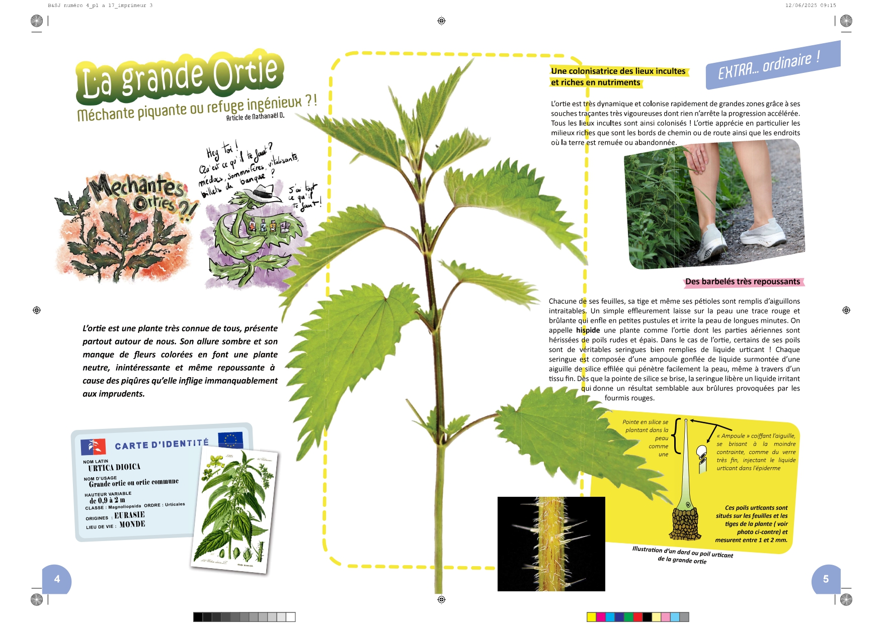 Bible & Science Junior - N°4 (Extrait) - page 3