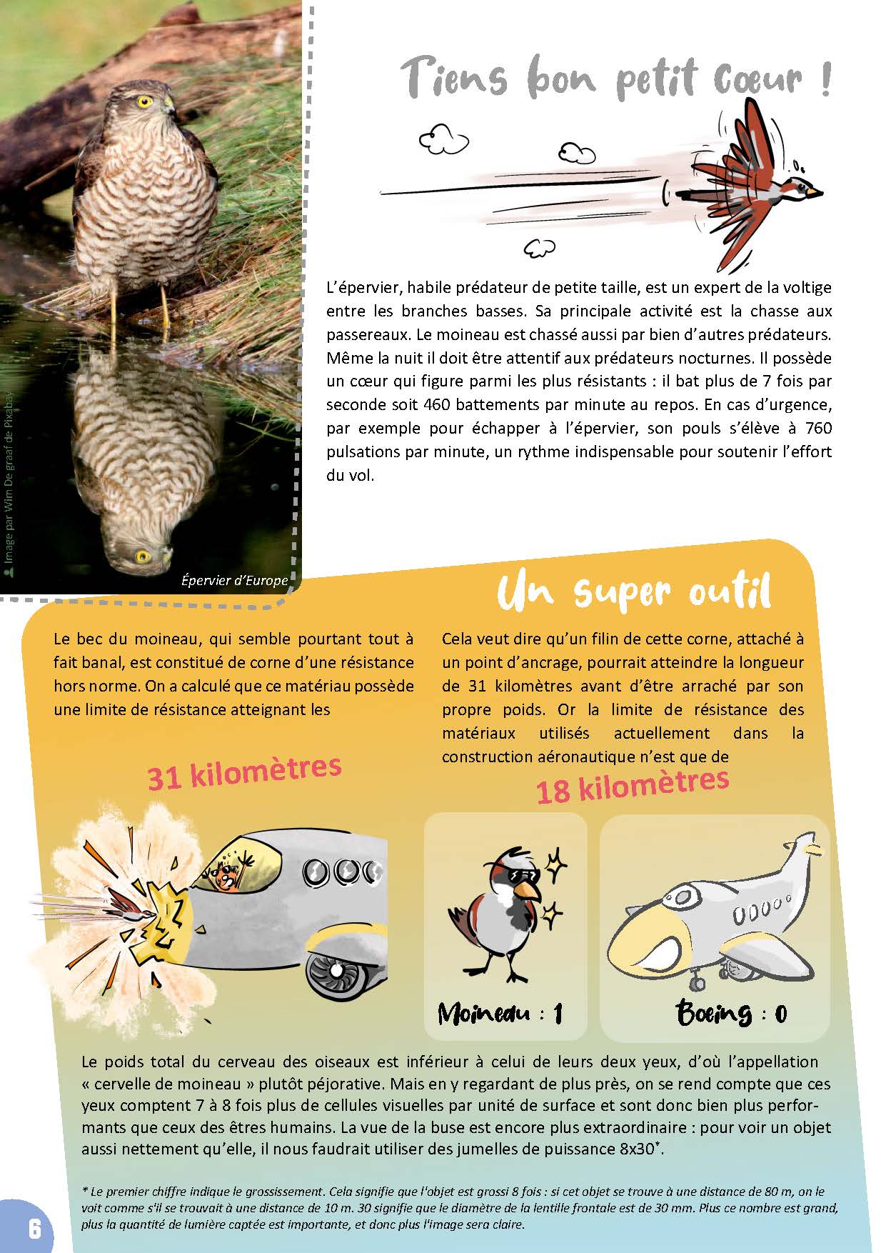 Bible & Science Junior - N°1 (Extrait) - page 5