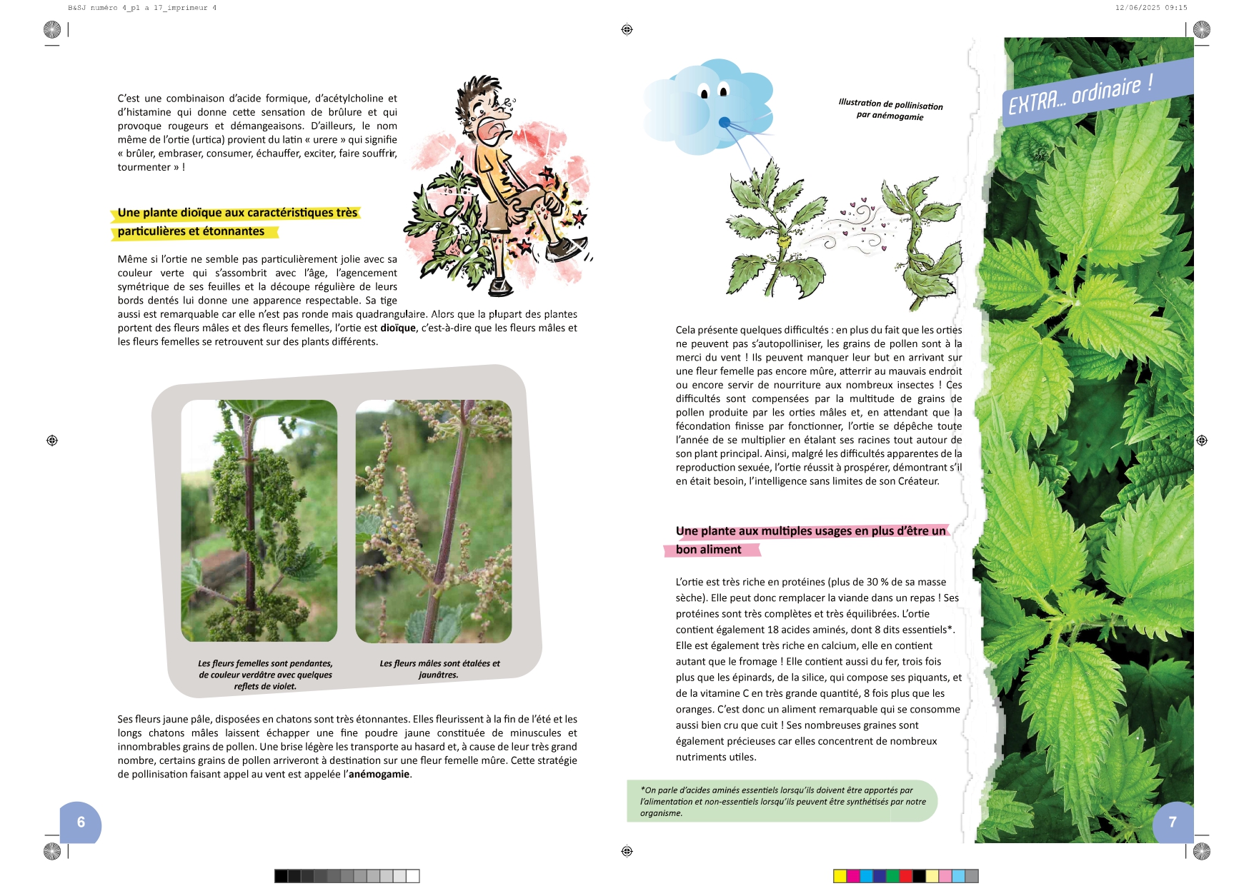 Bible & Science Junior - N°4 (Extrait) - page 4