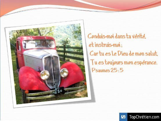Psaumes 25:5