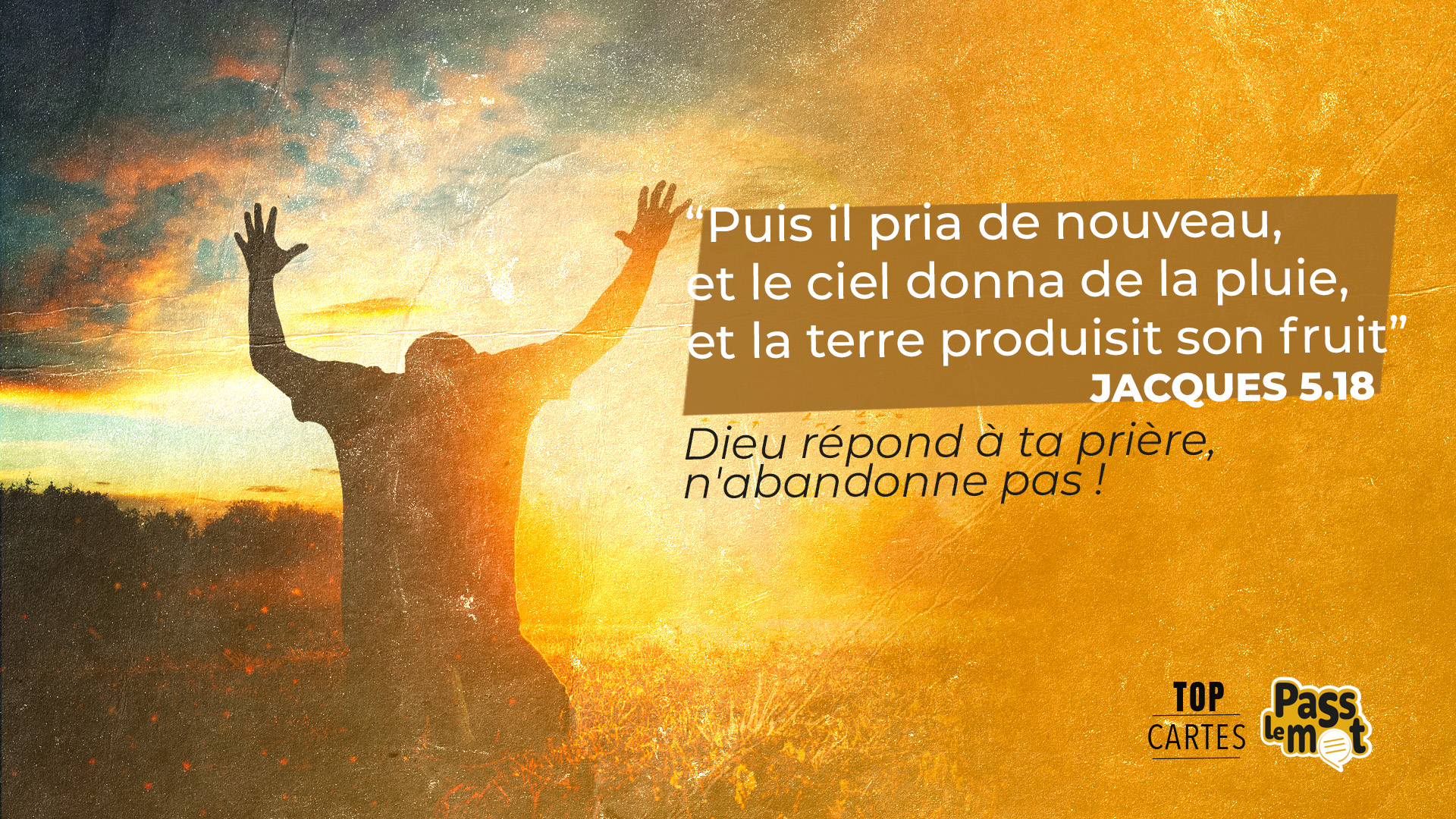 Jacques 5.18