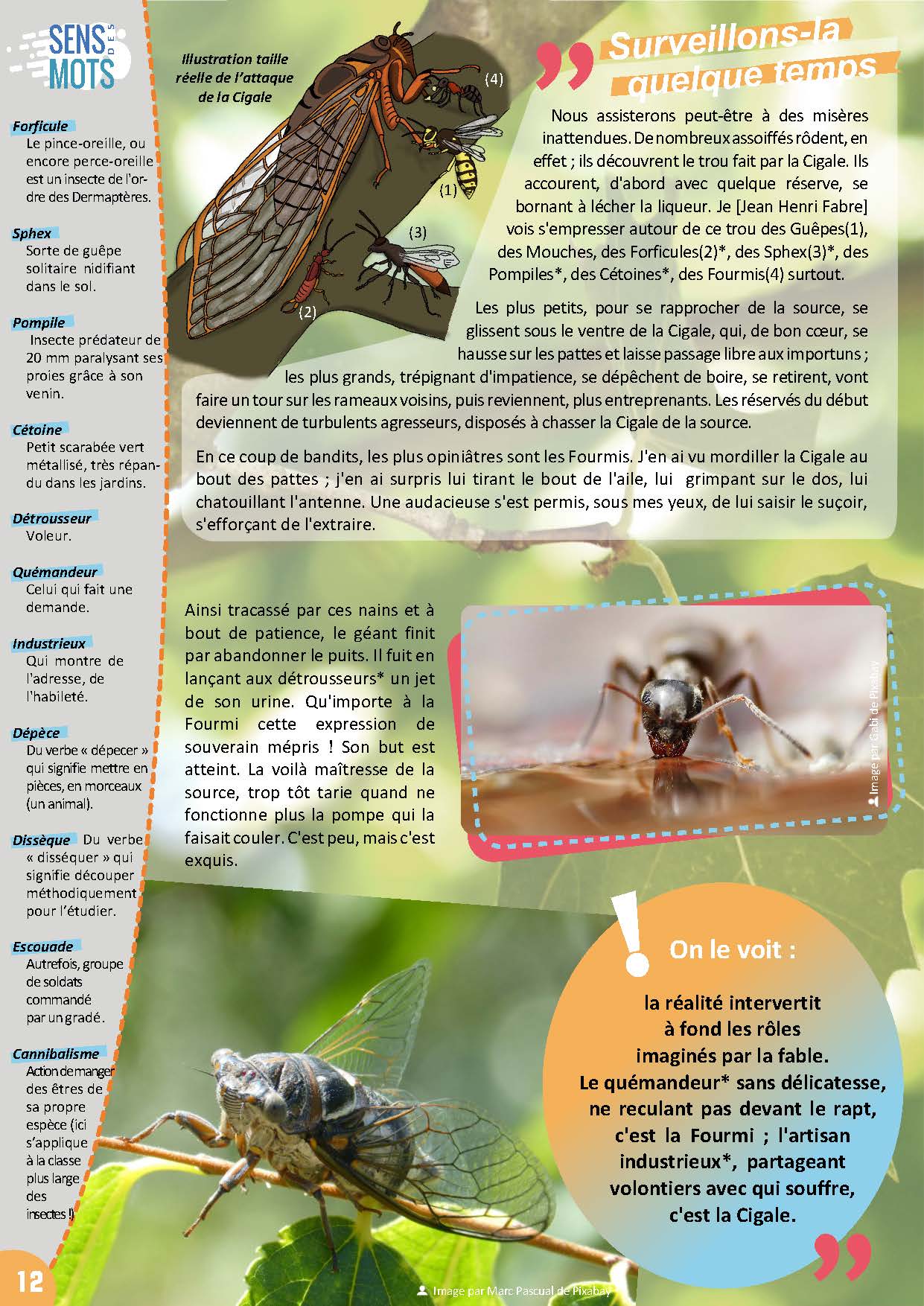 Bible & Science Junior - N°1 (Extrait) - page 11