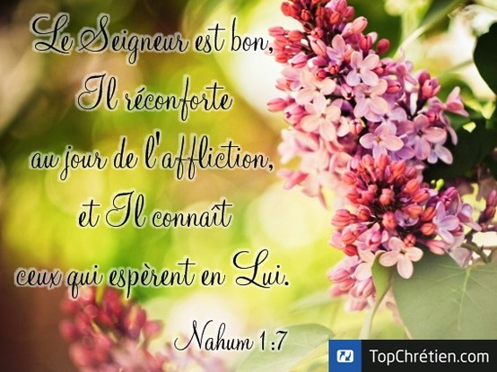 Nahum 1:7
