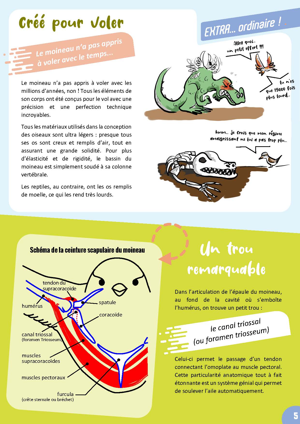 Bible & Science Junior - N°1 (Extrait) - page 4