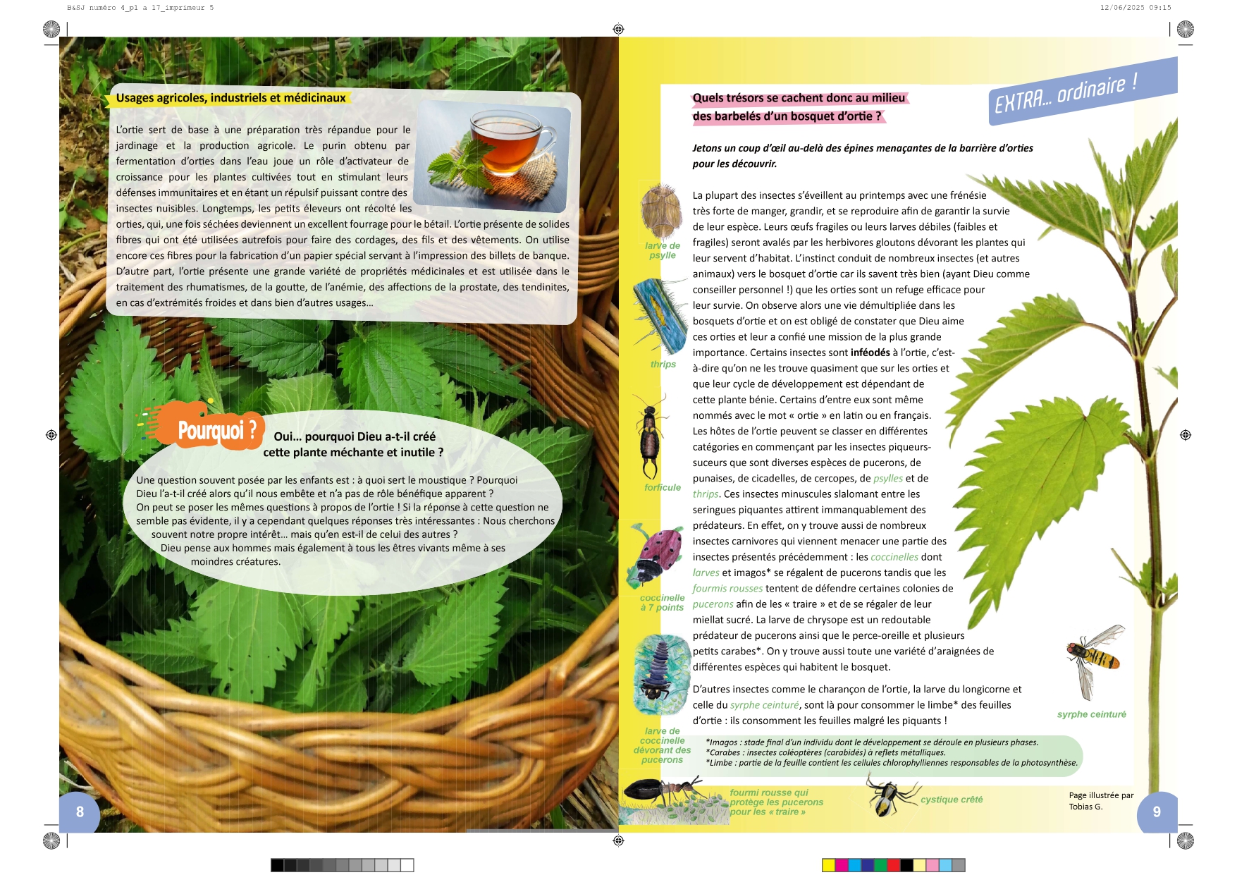 Bible & Science Junior - N°4 (Extrait) - page 5