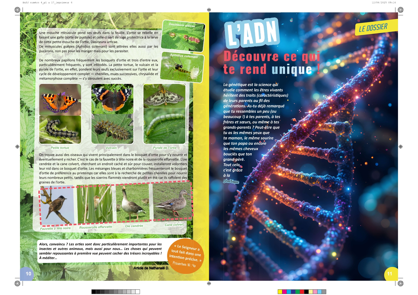 Bible & Science Junior - N°4 (Extrait) - page 6