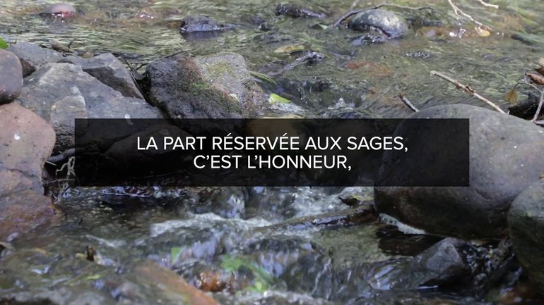 Proverbes Lecture #6 - Chapitre 3 verset 21 à ch. 4 verset 9