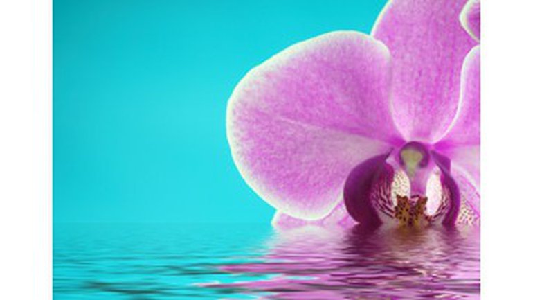 Sagesse humaine, sagesse divine