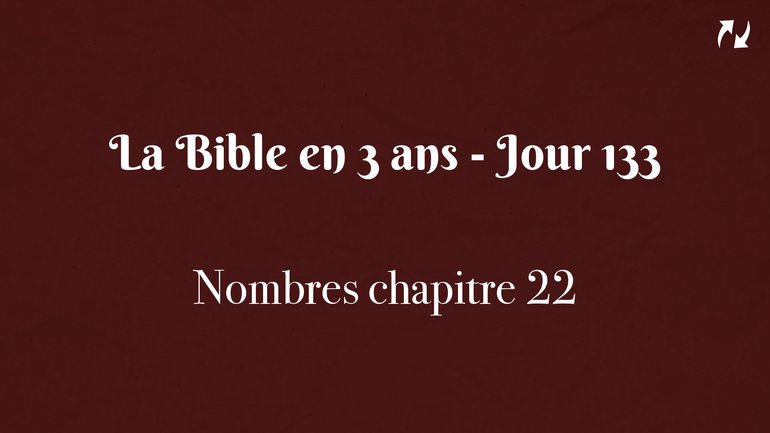La Bible en 3 ans - Jour 133