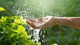 Des eaux pures