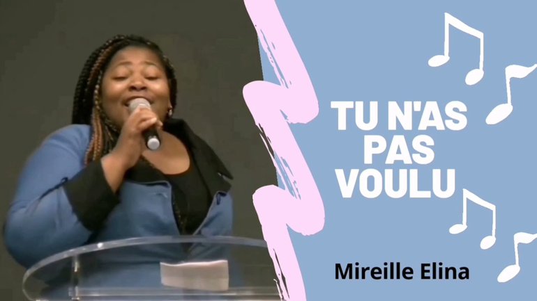 Tu n'as pas voulu by Mireille Elina