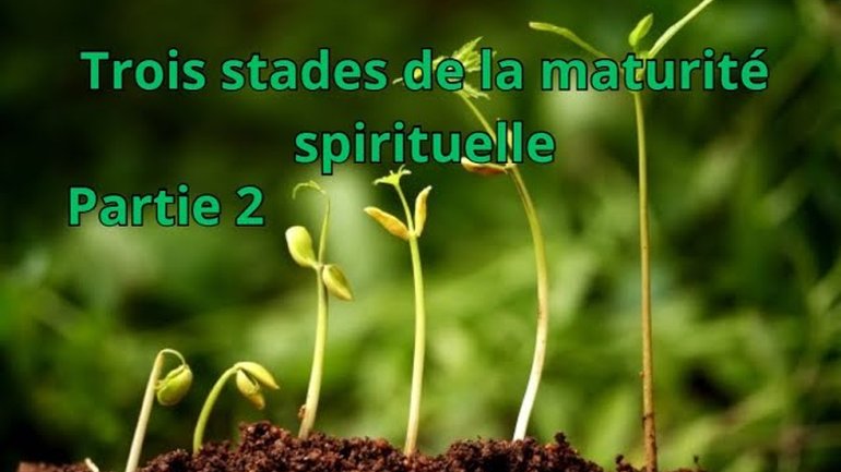 Cédric MERCIER : Trois stades de la maturité spirituelle (Partie 2).