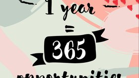 365 jours de Paix non stop garantis