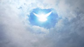 2/2 - Que se passe-t-il lors de la nouvelle naissance ?