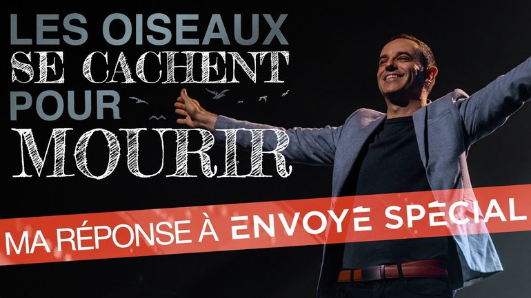 Les oiseaux se cachent pour mourir ! (Ma réponse à Envoyé Spécial) - Ivan Carluer