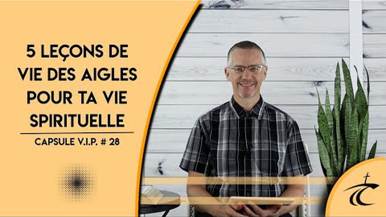 5 LEÇONS DE VIE DES AIGLES POUR TA VIE SPIRITUELLE -- Capsule V.I.P. #28 -- 27 mai