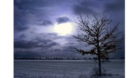 Pourquoi, Seigneur? Pour Toi!