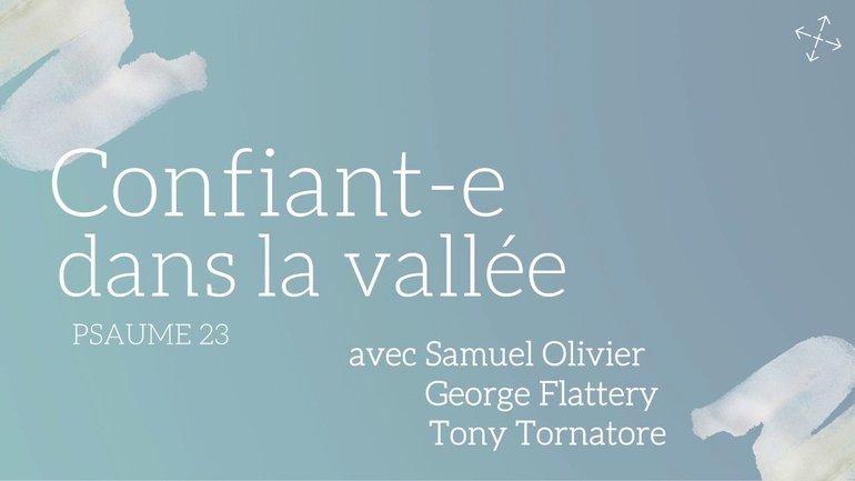 Confiant(e) dans la vallée / Samuel Olivier, George Flattery & Tony Tornatore