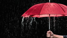 Prenez donc un parapluie !