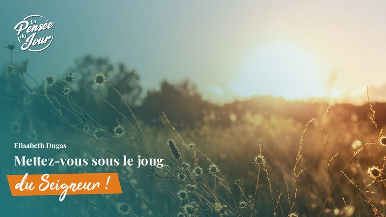 Mettez-vous sous le joug du Seigneur !
