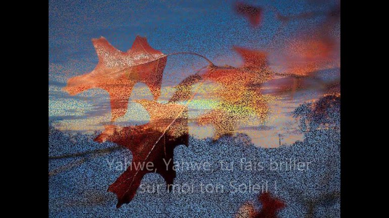 Embrase nos coeurs 2011 - Yahwe