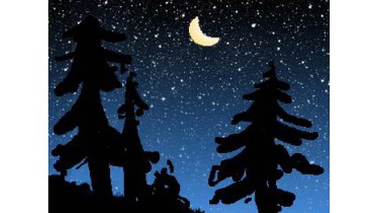 Le veilleur de la forêt