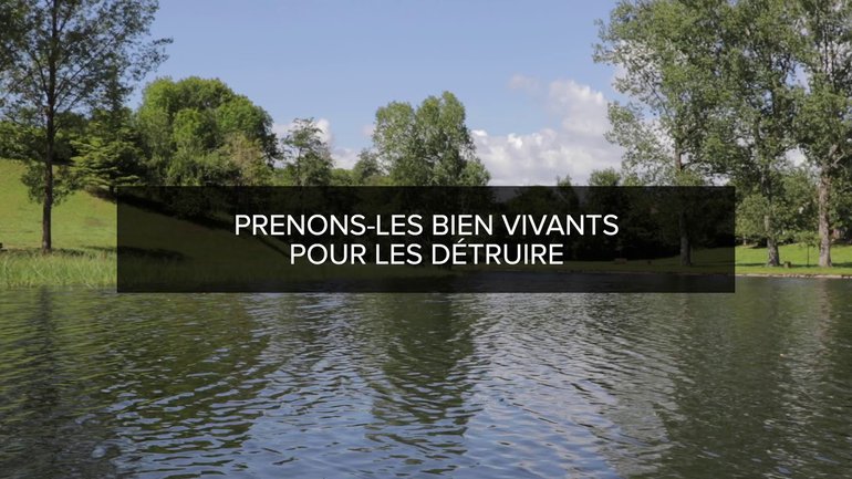 Proverbes Lecture #2 -  Chapitre 1 versets 8 à 19