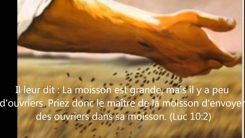 Campagne D Evangelisation A Carvin Video Toptv Topchretien