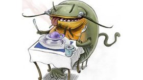La supériorité du poisson-chat
