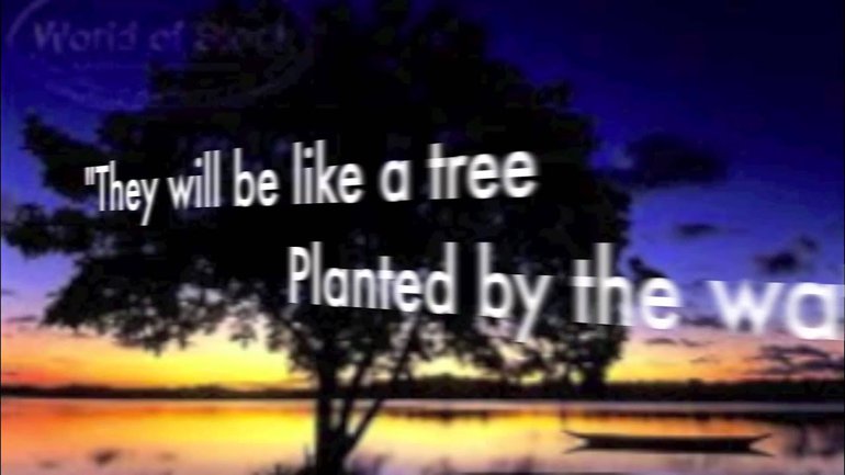 Magi G- His Promises