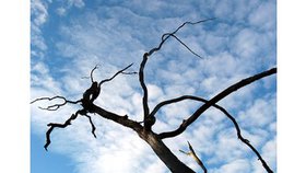 L'esprit de leadership : ce que tout homme doit savoir