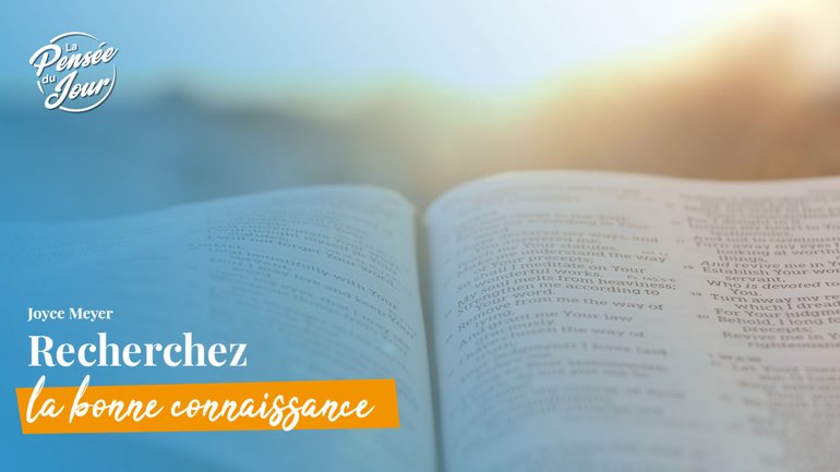 Recherchez la bonne connaissance
