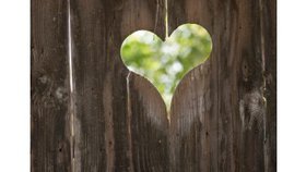 Le Coeur