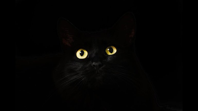 Un autre regard...