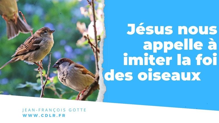 Les chrétiens et l’argent - imiter la foi du moineau - Enseignement biblique de gestion financière