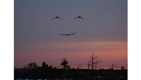 Le sourire de Dieu