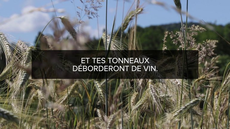 Proverbes Lecture #5 -  Chapitre 3 versets 1 à 20
