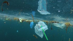 Comment rester pur dans un océan d'impureté ?